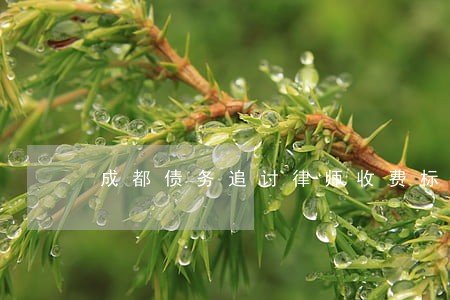 成都债务追讨律师收费标准 成都债务追讨律师收费标准