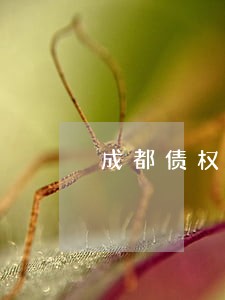 成都债权债务律师咨询电话 成都债权债务律师咨询电话