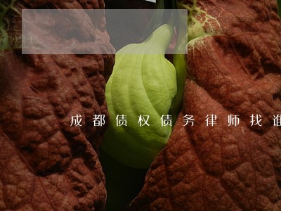 成都债权债务律师找谁好 成都债权债务律师找谁好