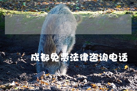 成都免费法律咨询电话 成都免费法律咨询电话