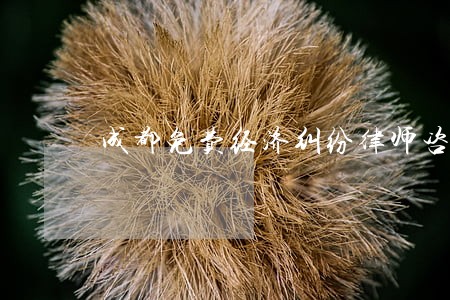 成都免费经济纠纷律师咨询 成都免费经济纠纷律师咨询