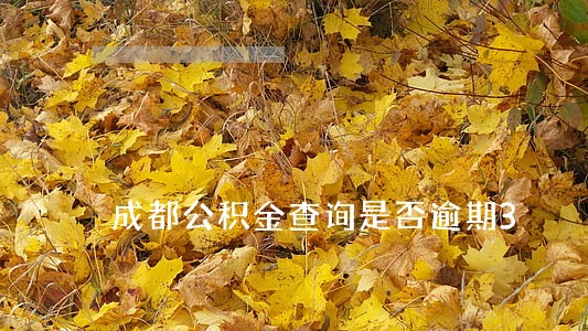 成都公积金查询是否逾期3 成都公积金查询是否逾期3