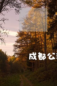 成都公积金贷款逾期宽限期 成都公积金贷款逾期宽限期