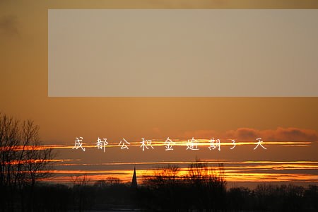 成都公积金逾期3天 成都公积金逾期3天
