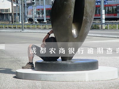 成都农商银行逾期查询系统