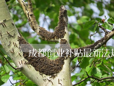 成都创业补贴最新法规