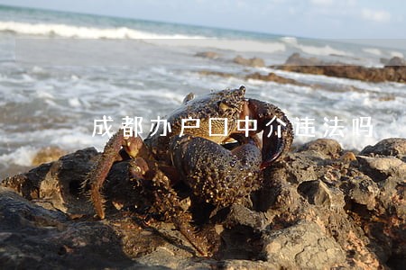 成都办户口中介违法吗 成都办户口中介违法吗
