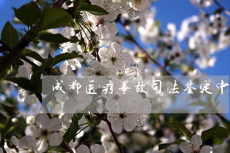 成都医疗事故司法鉴定中心 成都医疗事故司法鉴定中心