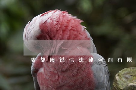 成都博锐信法律咨询有限公人 成都博锐信法律咨询有限公人