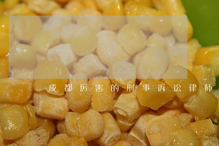 成都厉害的刑事诉讼律师 成都厉害的刑事诉讼律师
