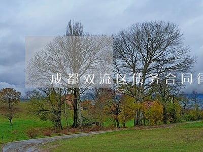 成都双流区债务合同律师在线咨询