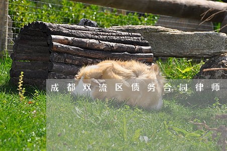 成都双流区债务合同律师联系方式 成都双流区债务合同律师联系方式