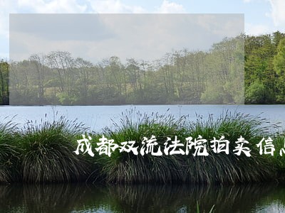 成都双流法院拍卖信息网 成都双流法院拍卖信息网
