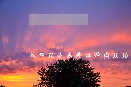 成都双流离婚律师内双楠 成都双流离婚律师内双楠