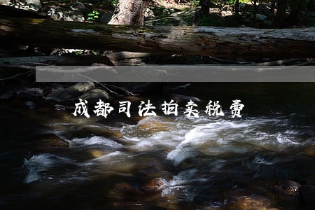 成都司法拍卖税费 成都司法拍卖税费