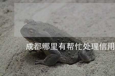 成都哪里有帮忙处理信用卡逾期 成都哪里有帮忙处理信用卡逾期