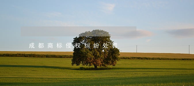成都商标侵权纠纷处罚 成都商标侵权纠纷处罚