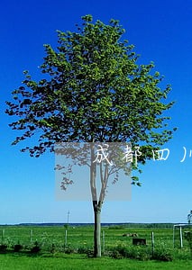 成都四川守诚律师事务所 成都四川守诚律师事务所