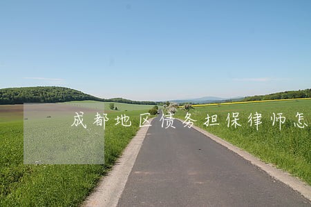 成都地区债务担保律师怎么收费 成都地区债务担保律师怎么收费