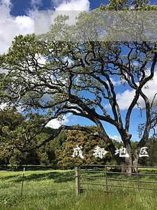 成都地区债权债务律师法律咨询