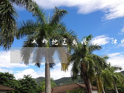 成都地区离婚债务律师微信咨询 成都地区离婚债务律师微信咨询