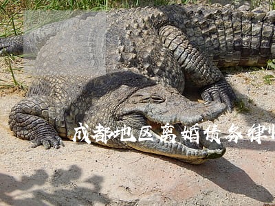 成都地区离婚债务律师收费标准 成都地区离婚债务律师收费标准
