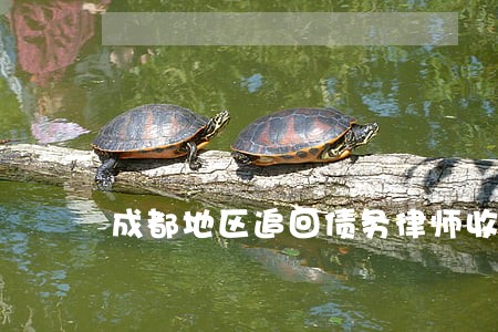 成都地区追回债务律师收费标准 成都地区追回债务律师收费标准