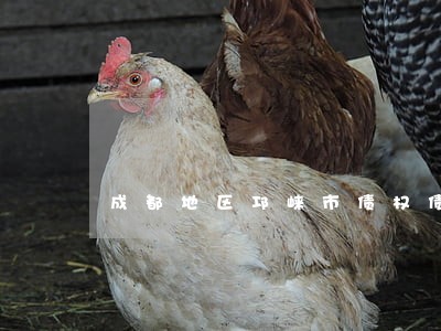 成都地区邛崃市债权债务律师 成都地区邛崃市债权债务律师