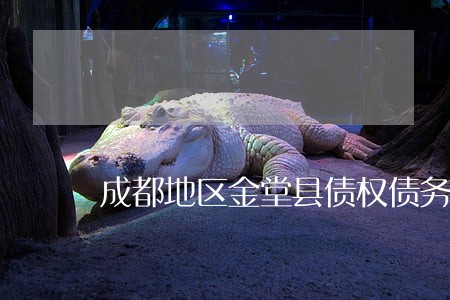 成都地区金堂县债权债务律师 成都地区金堂县债权债务律师
