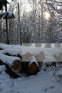 成都处理商标侵权纠纷 成都处理商标侵权纠纷