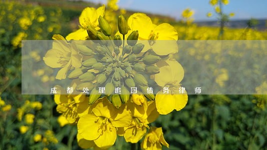 成都处理追回债务律师 成都处理追回债务律师