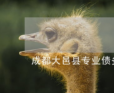 成都大邑县专业债务律师法律咨询 成都大邑县专业债务律师法律咨询