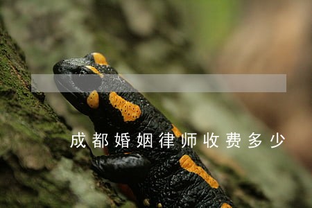 成都婚姻律师收费多少 成都婚姻律师收费多少