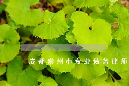 成都崇州市专业债务律师风险代理