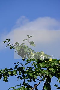 成都工会法律援助条例 成都工会法律援助条例