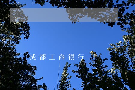 成都工商银行 成都工商银行