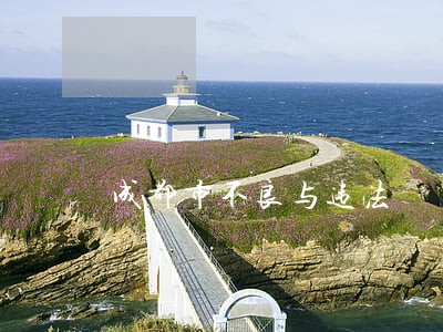 成都市不良与违法 成都市不良与违法