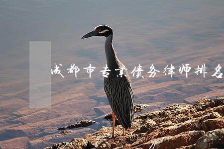 成都市专业债务律师排名 成都市专业债务律师排名