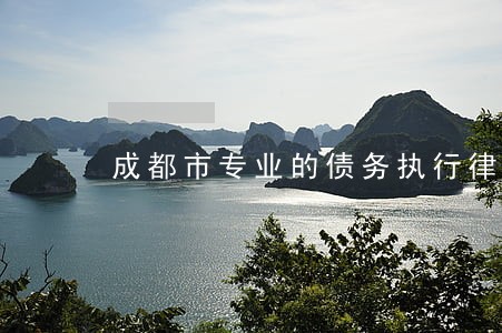 成都市专业的债务执行律师哪个好 成都市专业的债务执行律师哪个好