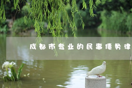 成都市专业的民事债务律师