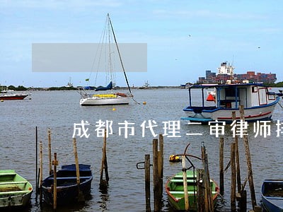 成都市代理二审律师排名 成都市代理二审律师排名