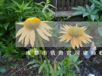 成都市债务官司律师收费标准