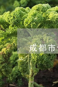 成都市债务律师咨询热线 成都市债务律师咨询热线