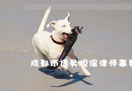 成都市债务担保律师事务所 成都市债务担保律师事务所