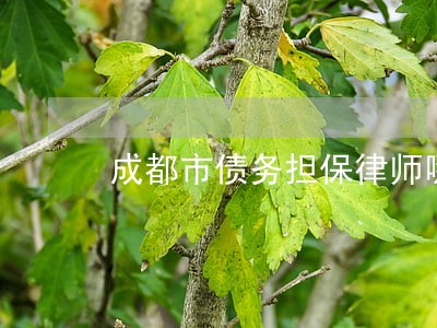 成都市债务担保律师哪里找 成都市债务担保律师哪里找