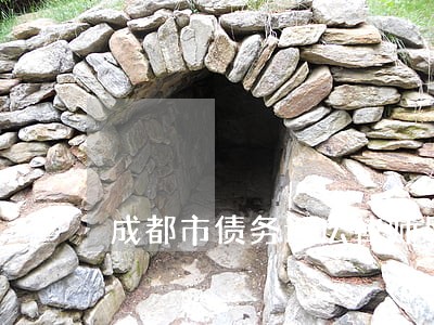 成都市债务诉讼律师风险代理 成都市债务诉讼律师风险代理