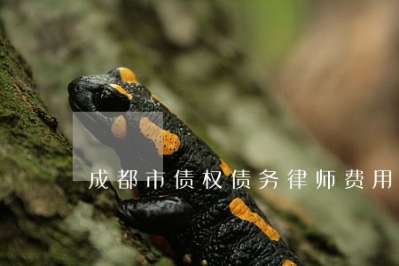 成都市债权债务律师费用咨询 成都市债权债务律师费用咨询