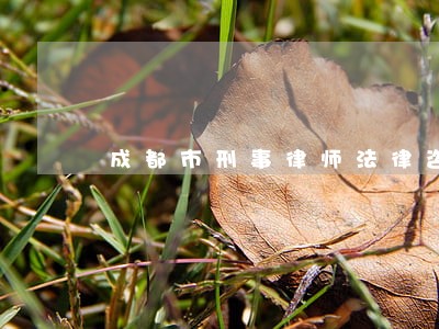 成都市刑事律师法律咨询 成都市刑事律师法律咨询