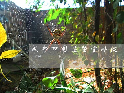 成都市司法警官学院