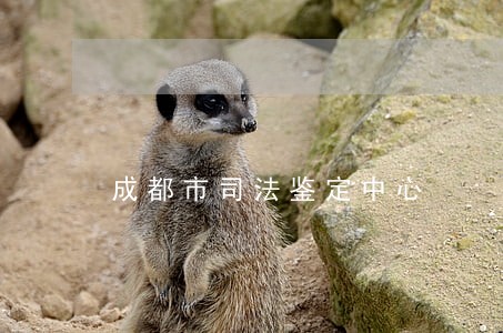 成都市司法鉴定中心